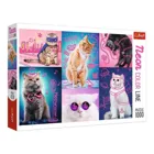 TR10581 - Neon Puzzle 1000 Teile - Superkatzen