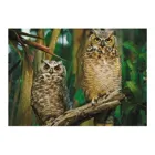 TR10603 - Premium jigsaw puzzle 1000 pieces - Owls