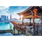 TR10721 - Premium jigsaw puzzle 1000 pieces - Chongqping, China