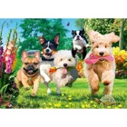 TR10800 - Premium Plus Puzzle 1.000 Teile - Die Hunde kommen