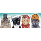 TR29504 - Panorama Puzzle 500 Teile - lustige Katzen