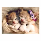 TR37271 - Premium jigsaw puzzle 500 pieces - sleeping kittens