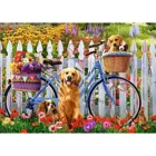 TR37450 - Premium jigsaw puzzle 500 pieces - Puppy adventure