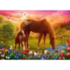 TR37451 - Premium jigsaw puzzle 500 pieces - Horses in the meadow