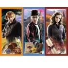 TR13277 - Puzzle with 200 pieces - Harry Potter