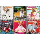 TR13279 - Puzzle with 200 pieces - Happy Dogs