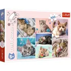 TR16420 - Puzzle with 100 pieces - Cat world