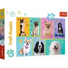 TR16421 - Puzzle with 100 pieces - Dog world