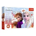 TR17333 - Puzzle with 60 pieces - The Ice Queen 2