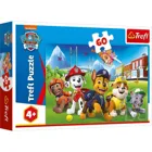 TR17375 - Puzzle with 60 pieces - Paw Patrol