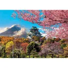 Burg Osaka, Japan