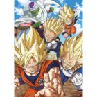 Dragon Ball Super - 500 Teile 1