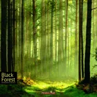 FEU31037 - Black Forest (German) (DE)