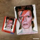 NMR62198 - David Bowie Puzzle Aladdin Sane (500 Teile)