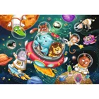 Animals in space